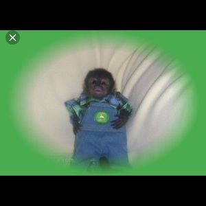 Meet your Posher, Lizette